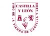 vino-tierra-castilla-leon-bodegas-el-inicio